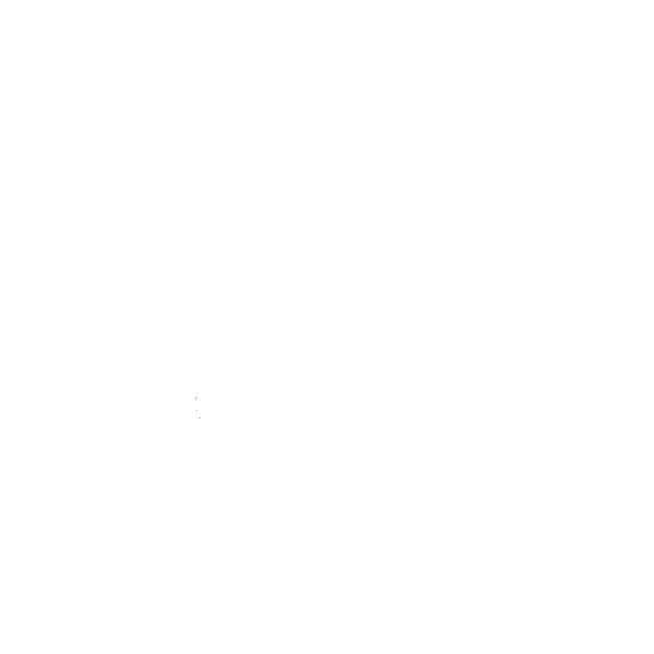 Saint Vivo Clothing